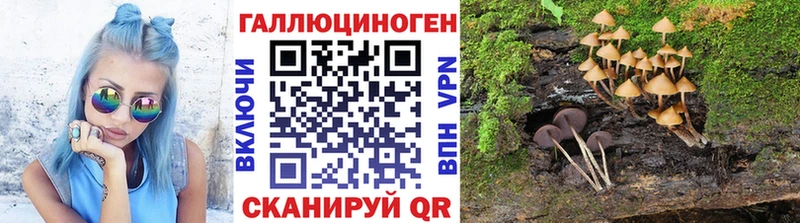 Галлюциногенные грибы GOLDEN TEACHER  Чернушка 