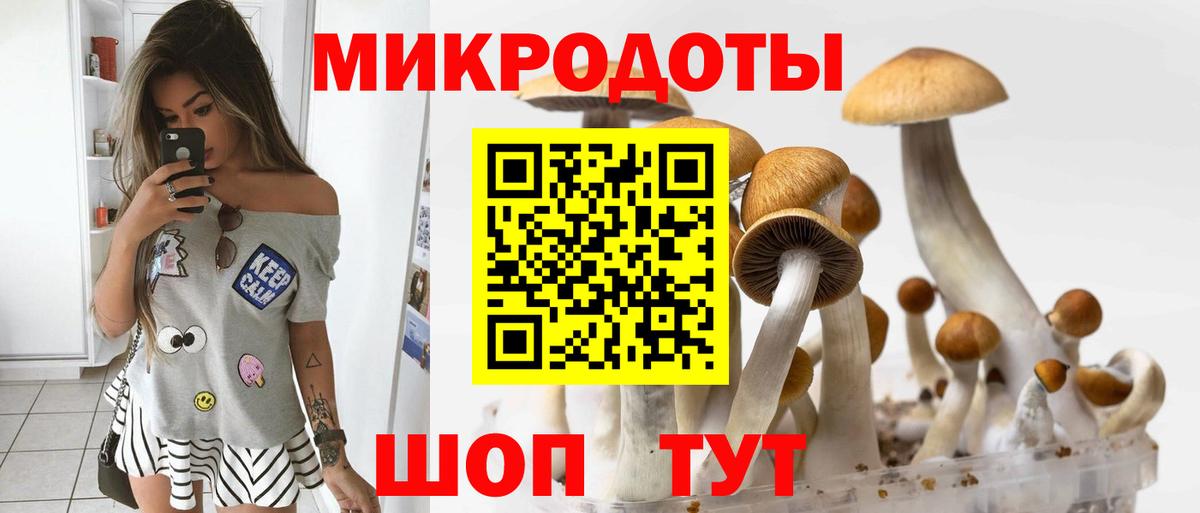 Галлюциногенные грибы мухоморы  Вход с VPN  Чернушка 